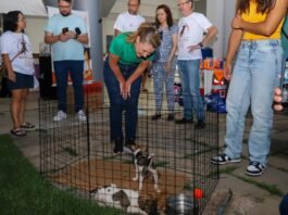 Várzea Grande avança na política de proteção animal e prepara programa permanente de castração e microchipagem