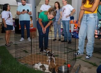 Várzea Grande avança na política de proteção animal e prepara programa permanente de castração e microchipagem