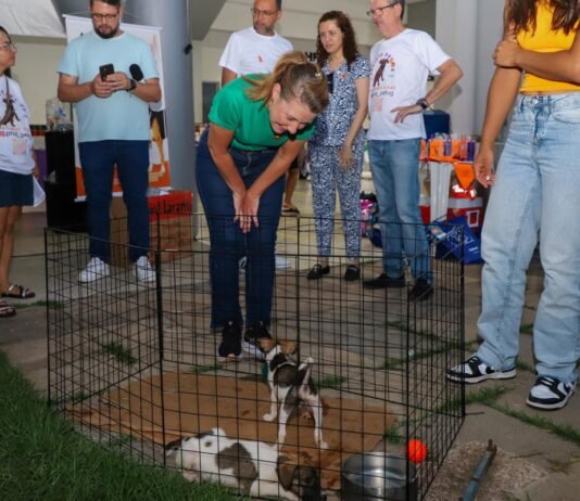 Várzea Grande avança na política de proteção animal e prepara programa permanente de castração e microchipagem