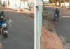 Câmera flagra momento em que homem mata gato a pauladas