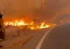 Veja Vídeo – Incêndio no sul da Espanha deixa pelo menos 12 mortos de diferentes nacionalidades