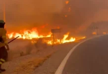 Veja Vídeo – Incêndio no sul da Espanha deixa pelo menos 12 mortos de diferentes nacionalidades
