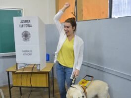 Brasil tem quase 2 milhões de eleitores com deficiência, aponta TSE
