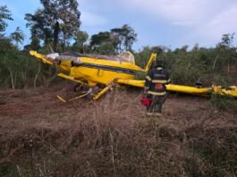 Avião agrícola cai em região de mata no interior do Estado