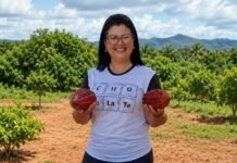 O chocolate que movimenta pessoas, sonhos e a agricultura familiar