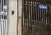 Veja Vídeo – Irmãos de 13 e 16 anos ficam feridos após ataque de pitbull em São Paulo; veja
