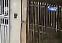 Veja Vídeo – Irmãos de 13 e 16 anos ficam feridos após ataque de pitbull em São Paulo; veja