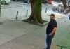 Veja Vídeo – Homem escapa por centímetros de ser esmagado por árvore durante ventania no RJ