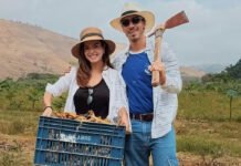 Giovanna Lancellotti e Gabriel David curtem colheita em fazenda: ‘Colheita e amor’