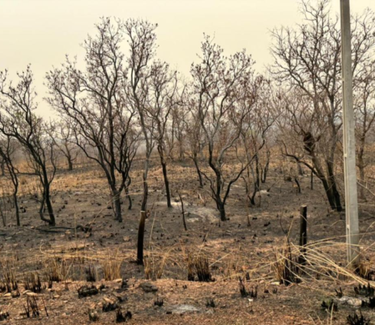 Corpo de Bombeiros combate 10 incêndios neste domingo e mantém outros dois sob controle