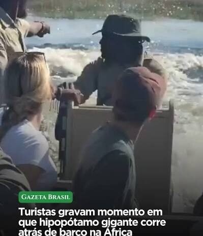Veja Vídeo – Hipopótamo é filmado perseguindo barco com turistas em rio de Botsuana na África