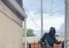 Veja Vídeo – Criminoso tentar pular portão durante fuga, fica preso pelos espinhos e sai frustrado; veja