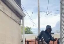 Veja Vídeo – Criminoso tentar pular portão durante fuga, fica preso pelos espinhos e sai frustrado; veja