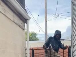 Veja Vídeo – Criminoso tentar pular portão durante fuga, fica preso pelos espinhos e sai frustrado; veja
