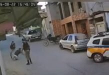 Veja Vídeo – Adolescente dá grau, bate em viatura e é chutado por policial em Minas Gerais; veja