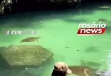 Veja Vídeo – Modelo é surpreendida por tartaruga-marinha durante mergulho e leva mordida no glúteo; veja