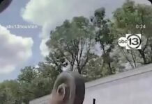 Veja Vídeo – Motorista leva susto após pneu surgir do nada e atingir SUV em alta velocidade; veja