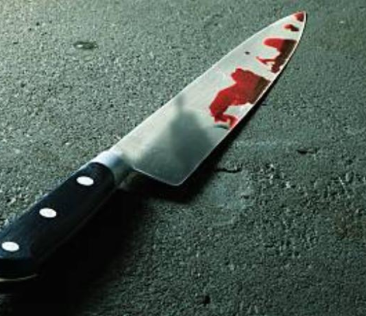 Menino de 11 anos ataca mãe com faca ao ser repreendido