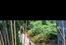 Veja Vídeo – Viralizou: menino perde controle da bike, desce ladeira e desfecho surpreende
