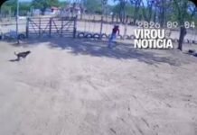 Veja Vídeo – De santinho na mão à correria: candidata foge de cachorros durante campanha na Bahia
