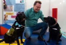 Max propõe criação de censo para mapear população de cães e gatos em MT