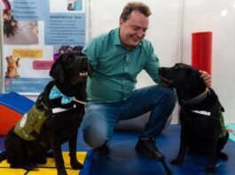 Max propõe criação de censo para mapear população de cães e gatos em MT