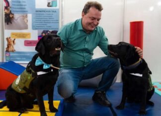 Max propõe criação de censo para mapear população de cães e gatos em MT