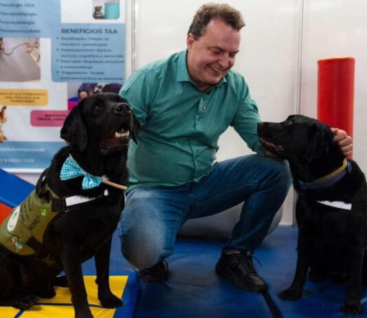 Max propõe criação de censo para mapear população de cães e gatos em MT