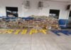 Polícias de MT apreendem 1 tonelada de drogas; valor estimado de R$ 8,6 milhões