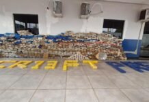 Polícias de MT apreendem 1 tonelada de drogas; valor estimado de R$ 8,6 milhões