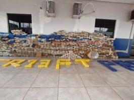 Polícias de MT apreendem 1 tonelada de drogas; valor estimado de R$ 8,6 milhões