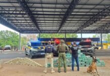 Trio é preso com meia tonelada de cocaína em caminhão na BR-364