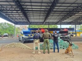 Trio é preso com meia tonelada de cocaína em caminhão na BR-364