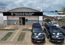 Idosa condenada por tráfico de drogas é presa pela Polícia Civil em Nova Lacerda