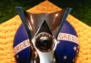 Brasileirão tem virada do Fluminense, vitória do Bahia e fim de jejum do Remo