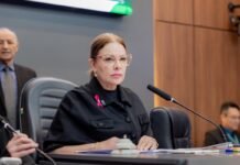 Paula Calil suspende tramitação de LOA até que Abílio envie nova versão de LDO