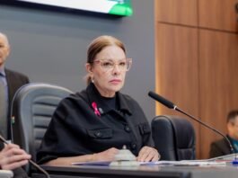 Paula Calil suspende tramitação de LOA até que Abílio envie nova versão de LDO