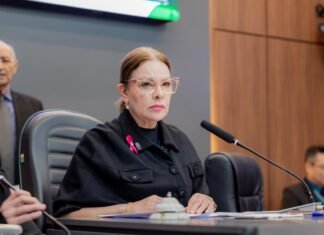 Paula Calil suspende tramitação de LOA até que Abílio envie nova versão de LDO