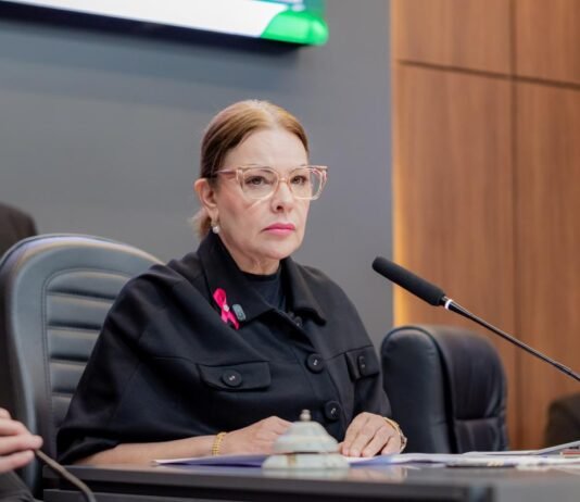 Paula Calil suspende tramitação de LOA até que Abílio envie nova versão de LDO