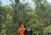 Corpo é encontrado em cova rasa em área rural de MT