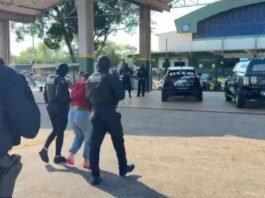 ‘Angeliquinha’ chega a Cuiabá e ficará em regime diferenciado