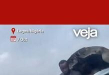 Veja Vídeo – Homem é flagrado consertando van em movimento com passageiros; veja