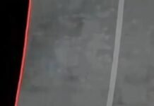 Veja Vídeo – Novo Tesla Roadster chama atenção com promessa de voos, acrobacias e velocidade