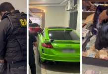 Vídeo; Gaeco apreendeu sacos de dinheiro e carros de luxo em Sinop